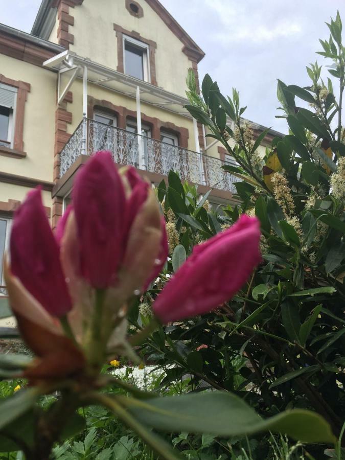 L'Aromeantic Daire Rothau Dış mekan fotoğraf